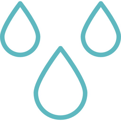 alt-icon-title